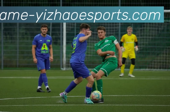 多媒体互动体验